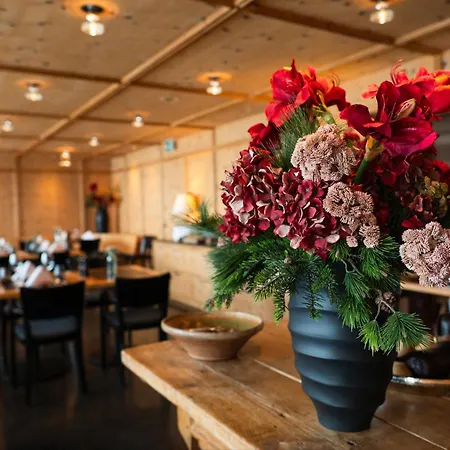 Stoffel - Adults Only Hotel Arosa